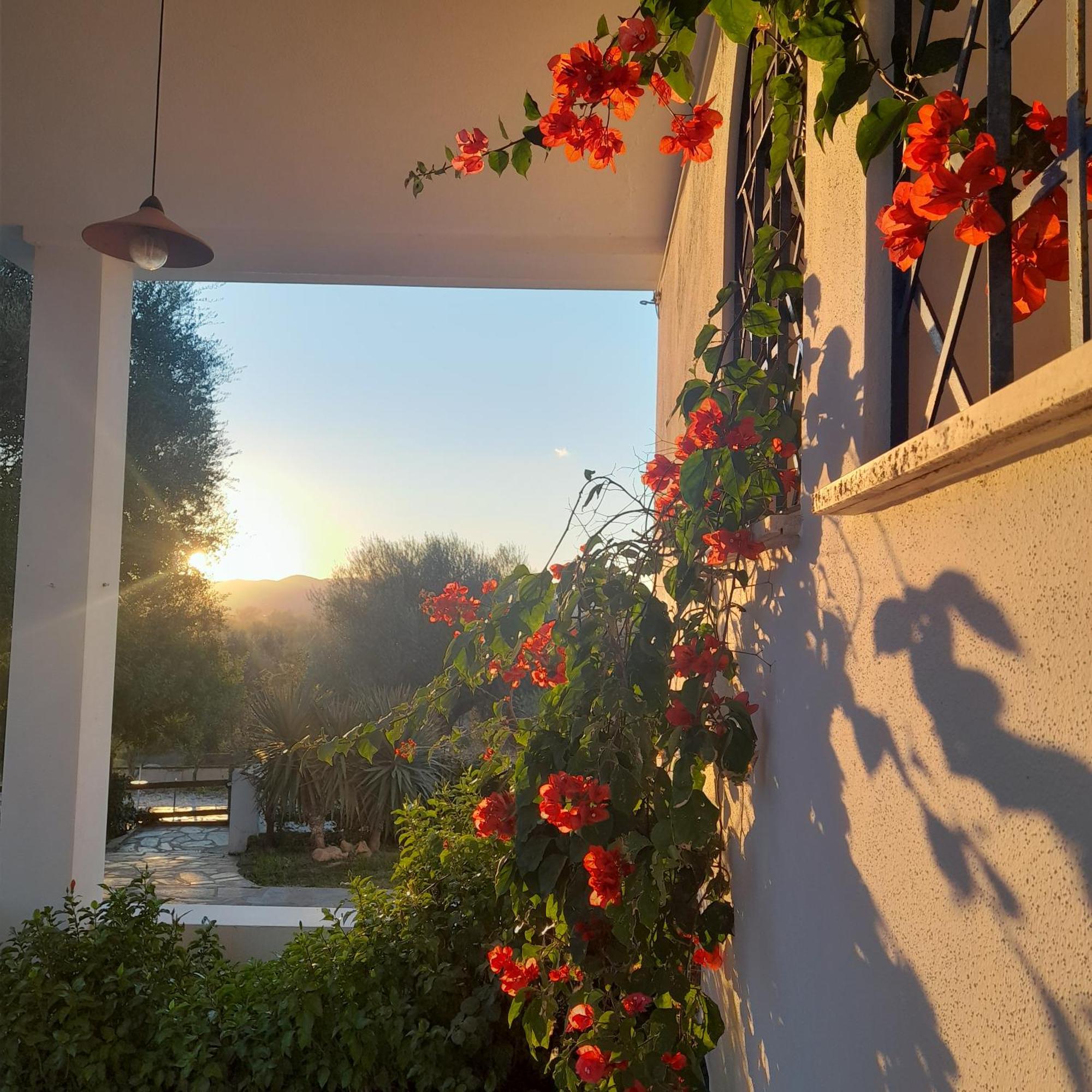 Agriturismo Palas De Serra Country Resort Onifai Eksteriør bilde